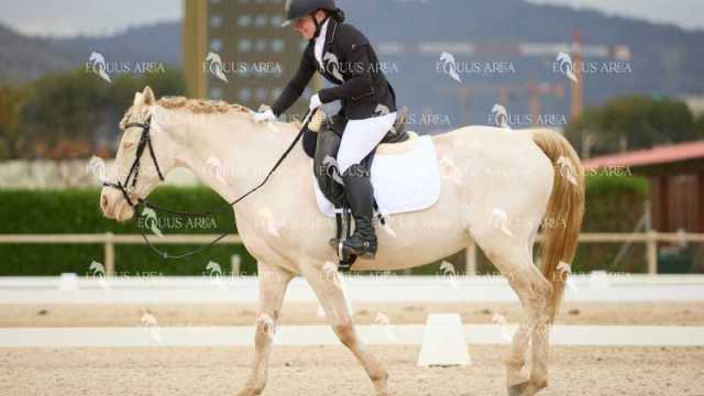 DOMA02032025M-006