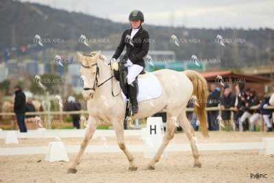 DOMA02032025M-009