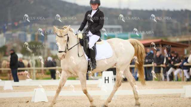 DOMA02032025M-009
