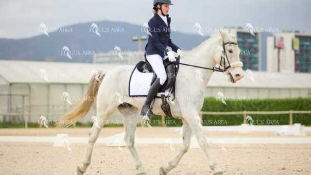 DOMA02032025M-010