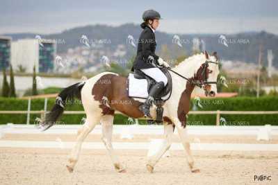 DOMA02032025M-014
