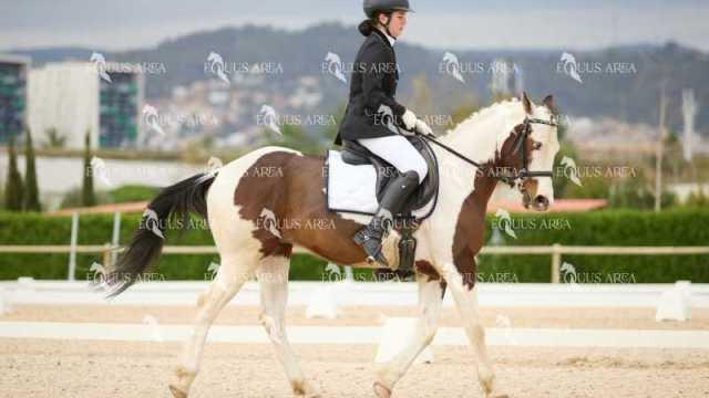 DOMA02032025M-014
