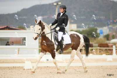 DOMA02032025M-015