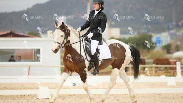 DOMA02032025M-015