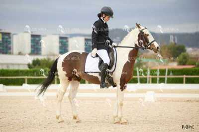 DOMA02032025M-016