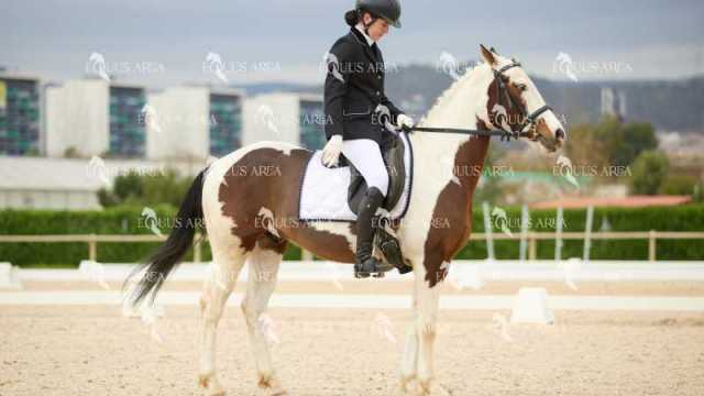 DOMA02032025M-016