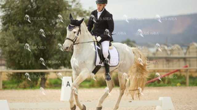 DOMA02032025M-018