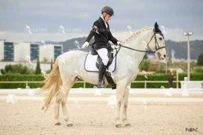 DOMA02032025M-019