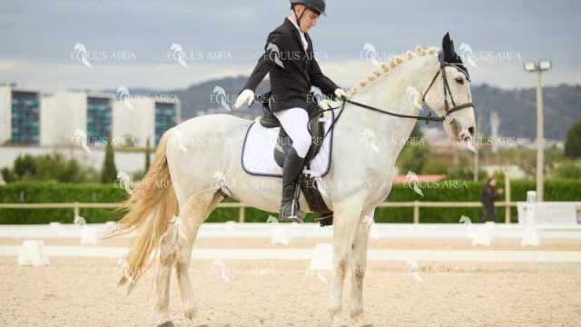 DOMA02032025M-019