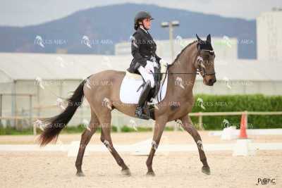 DOMA02032025M-023