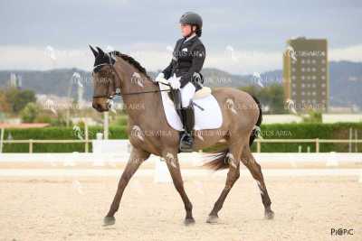 DOMA02032025M-024