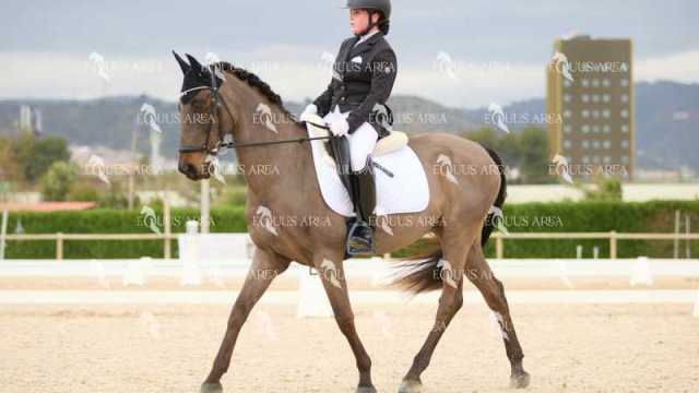 DOMA02032025M-024