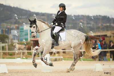 DOMA02032025M-028