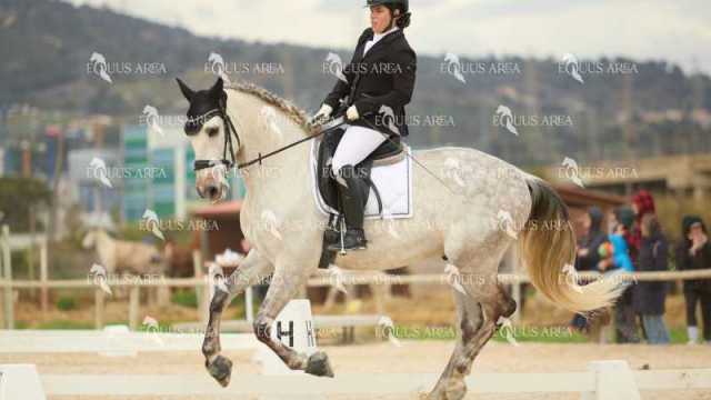 DOMA02032025M-028