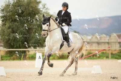 DOMA02032025M-029