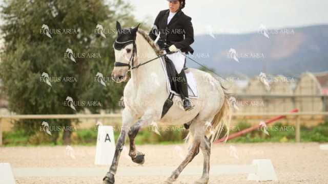 DOMA02032025M-029