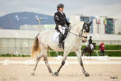 DOMA02032025M-030