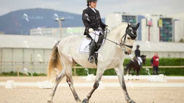 DOMA02032025M-030