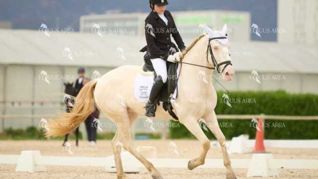 DOMA02032025M-032