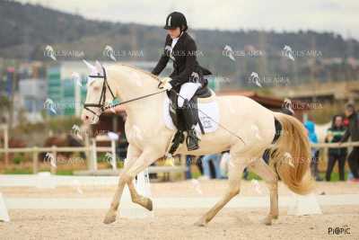 DOMA02032025M-033