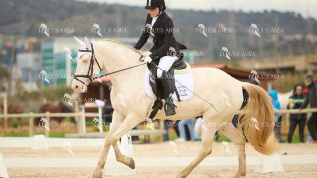 DOMA02032025M-033