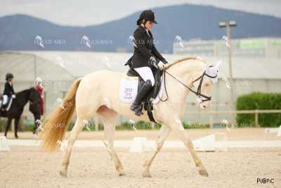 DOMA02032025M-034