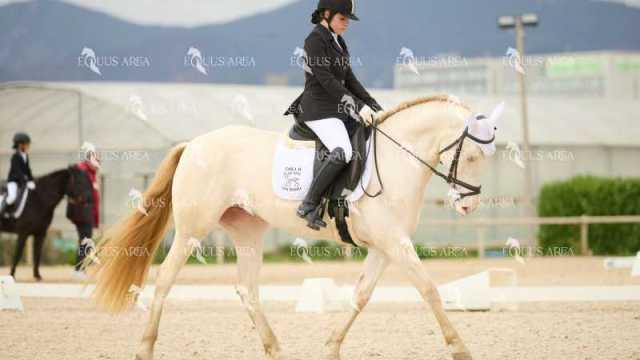 DOMA02032025M-034