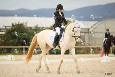 DOMA02032025M-035