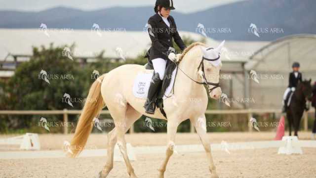 DOMA02032025M-035