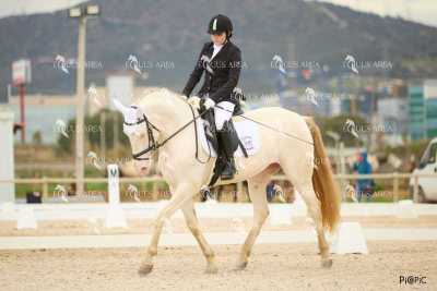 DOMA02032025M-036