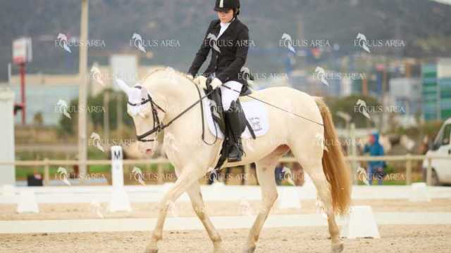 DOMA02032025M-036
