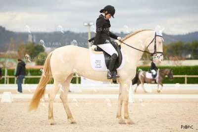 DOMA02032025M-037