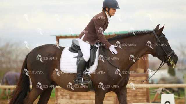 DOMA02032025M-038