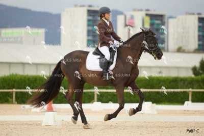 DOMA02032025M-039
