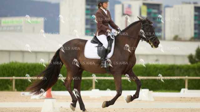 DOMA02032025M-039