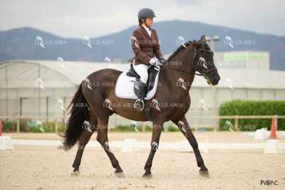 DOMA02032025M-040