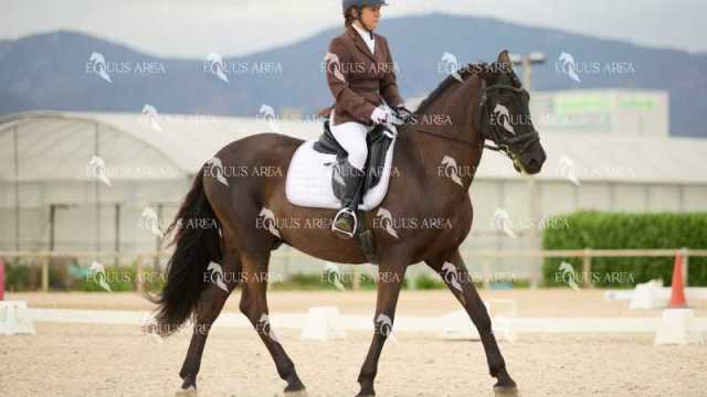 DOMA02032025M-040