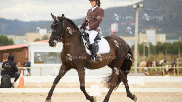 DOMA02032025M-041