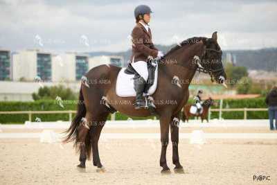 DOMA02032025M-042