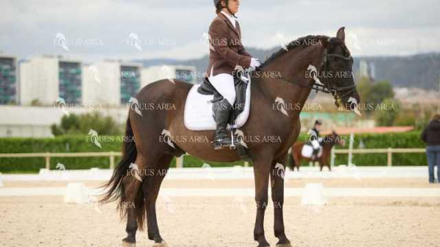 DOMA02032025M-042