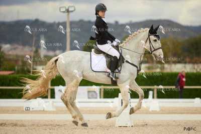 DOMA02032025M-043