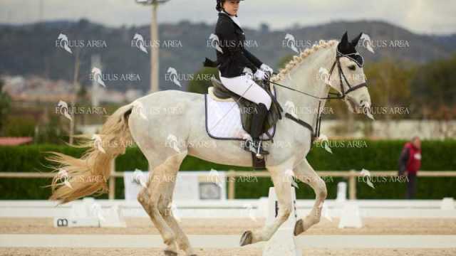 DOMA02032025M-043