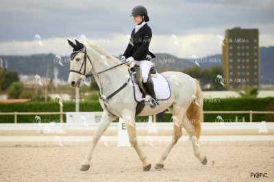 DOMA02032025M-044