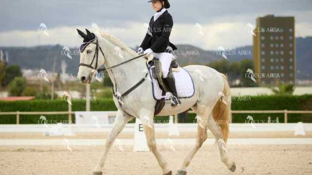 DOMA02032025M-044