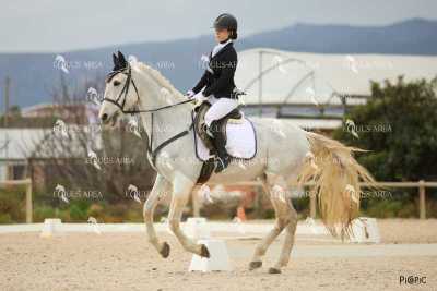DOMA02032025M-045