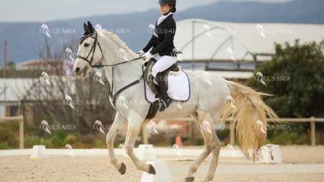 DOMA02032025M-045