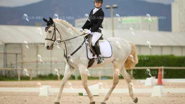 DOMA02032025M-046
