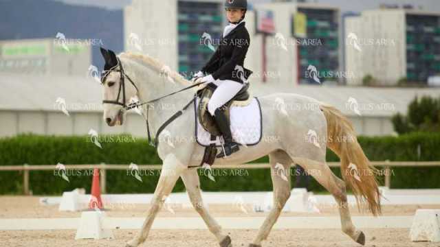 DOMA02032025M-047