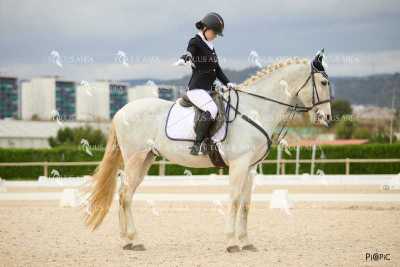 DOMA02032025M-048