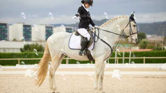 DOMA02032025M-048